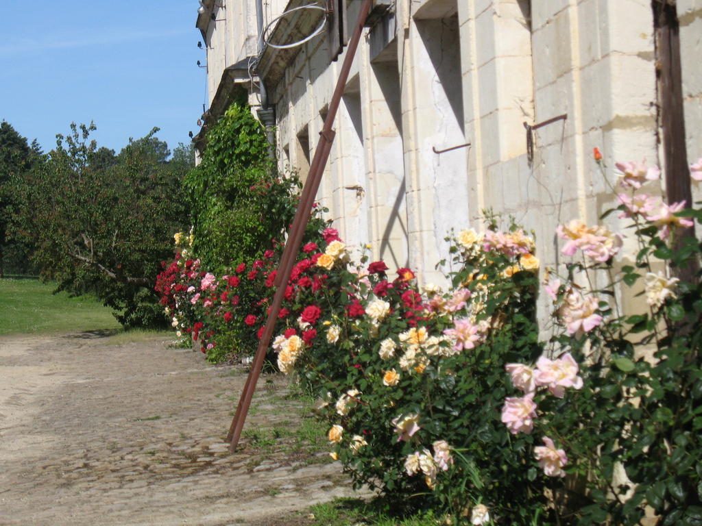 La Mesnagerie Bed & Breakfast Jarze ห้อง รูปภาพ