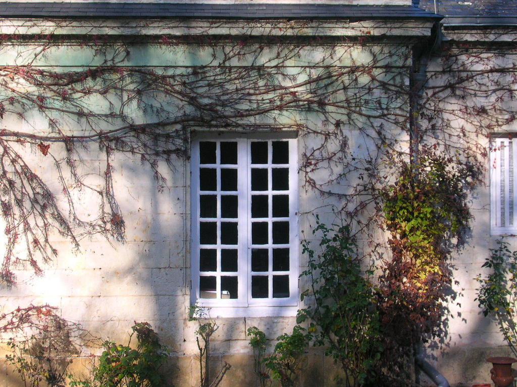 La Mesnagerie Bed & Breakfast Jarze ภายนอก รูปภาพ